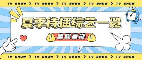 吃瓜营销号娱乐号是什么,吃瓜营销号与娱乐号背后的秘密